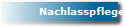 Nachlasspfleger Ely